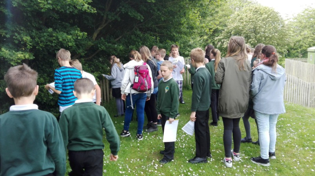 IMG_20170522_114339_800_450