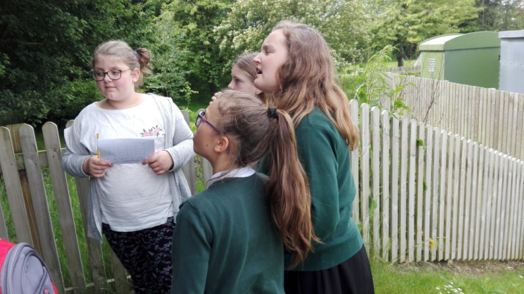 IMG_20170522_114427_800_450