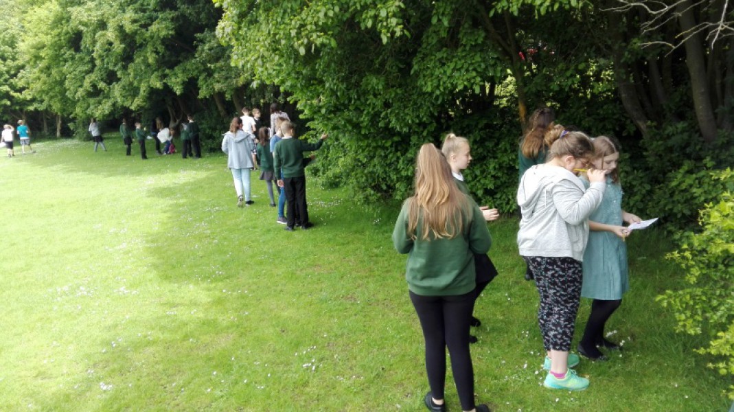 IMG_20170522_115137_800_450