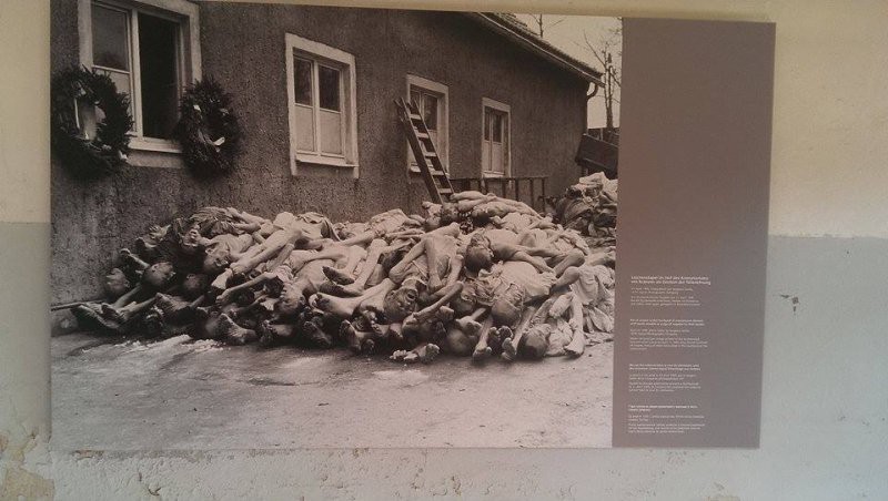 Buchenwald2_800_452