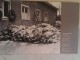 Buchenwald2_800_452