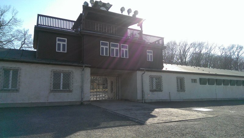 Buchenwald3_800_452