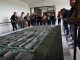 DSC08451_800_533